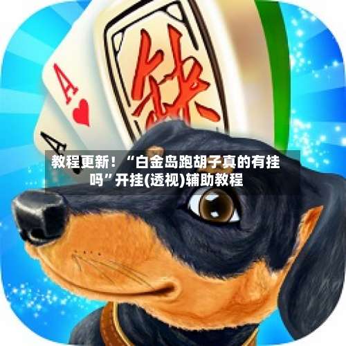 教程更新！“白金岛跑胡子真的有挂吗	”开挂(透视)辅助教程-第1张图片