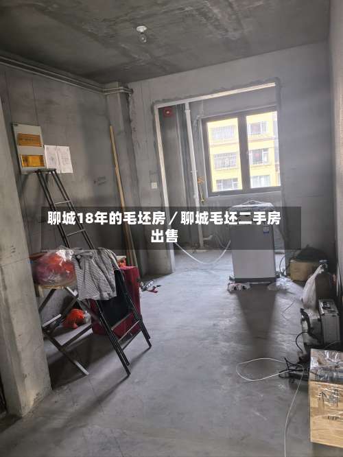 聊城18年的毛坯房／聊城毛坯二手房出售-第2张图片
