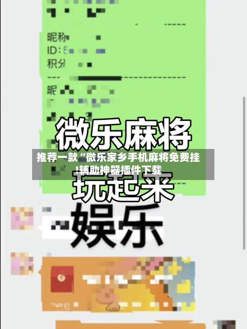 推荐一款“微乐家乡手机麻将免费挂!辅助神器插件下载-第1张图片