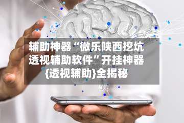辅助神器“微乐陕西挖坑透视辅助软件”开挂神器{透视辅助}全揭秘-第3张图片