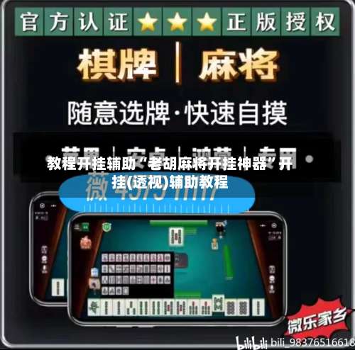 教程开挂辅助“老胡麻将开挂神器”开挂(透视)辅助教程-第3张图片