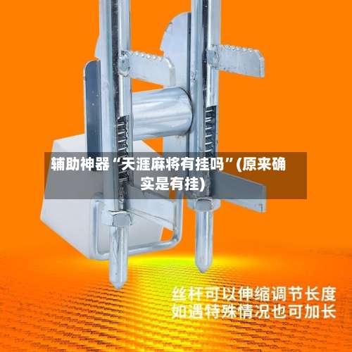 辅助神器“天涯麻将有挂吗”(原来确实是有挂)-第3张图片