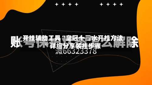 开挂辅助工具“皇冠十三水开挂方法”详细分享装挂步骤-第3张图片