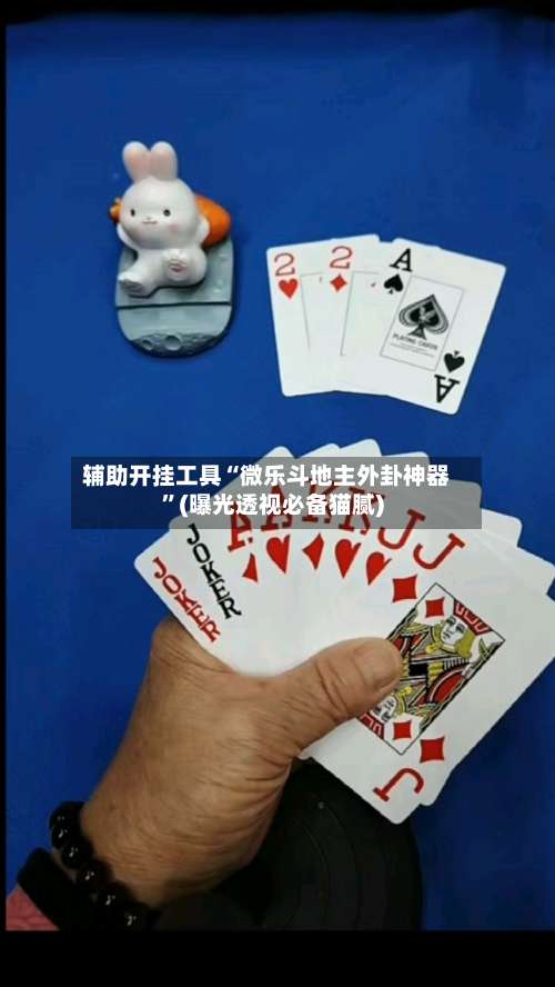辅助开挂工具“微乐斗地主外卦神器”(曝光透视必备猫腻)-第3张图片