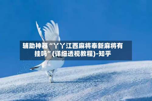 辅助神器“丫丫江西麻将奉新麻将有挂吗”(详细透视教程)-知乎-第3张图片