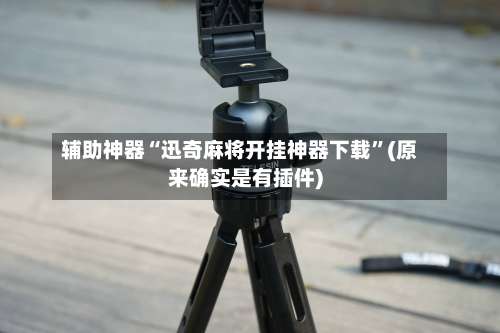 辅助神器“迅奇麻将开挂神器下载”(原来确实是有插件)-第2张图片