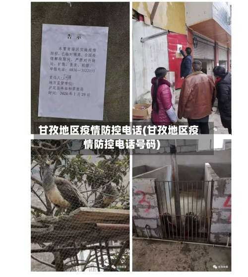 甘孜地区疫情防控电话(甘孜地区疫情防控电话号码)-第2张图片