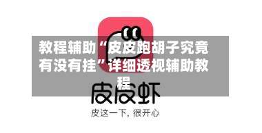 教程辅助“皮皮跑胡子究竟有没有挂”详细透视辅助教程-第2张图片
