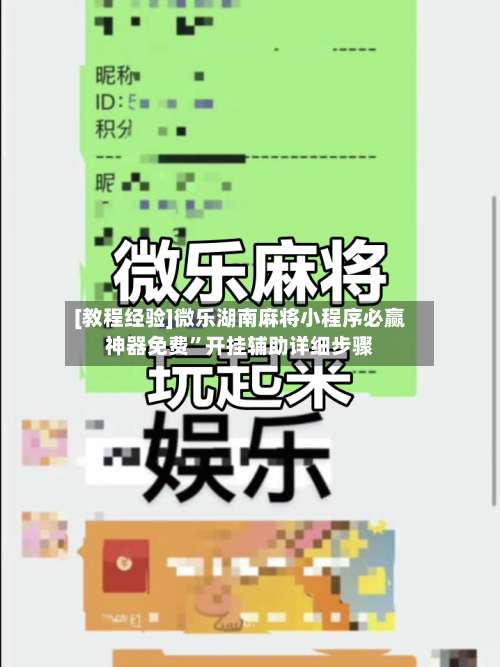 [教程经验]微乐湖南麻将小程序必赢神器免费”开挂辅助详细步骤-第2张图片