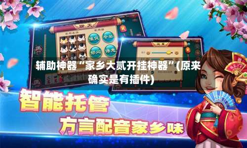 辅助神器“家乡大贰开挂神器”(原来确实是有插件)-第1张图片