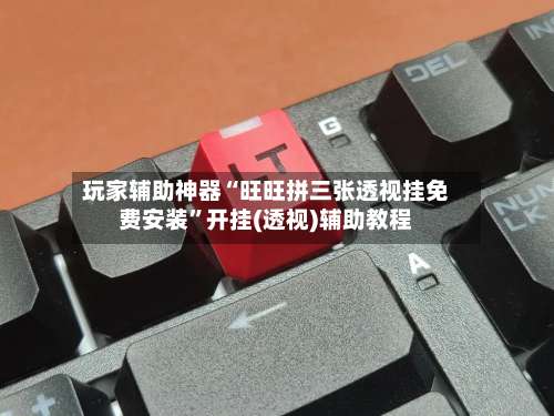 玩家辅助神器“旺旺拼三张透视挂免费安装	”开挂(透视)辅助教程-第1张图片