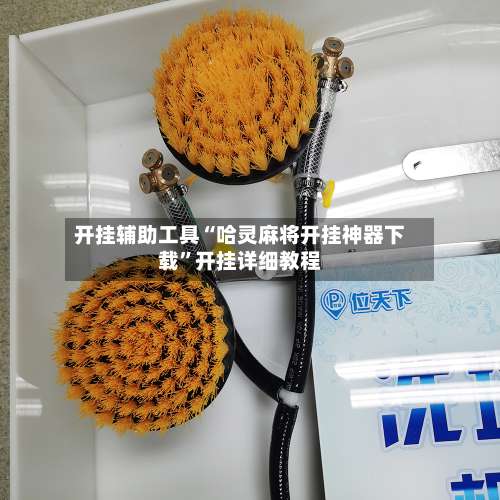 开挂辅助工具“哈灵麻将开挂神器下载”开挂详细教程-第2张图片