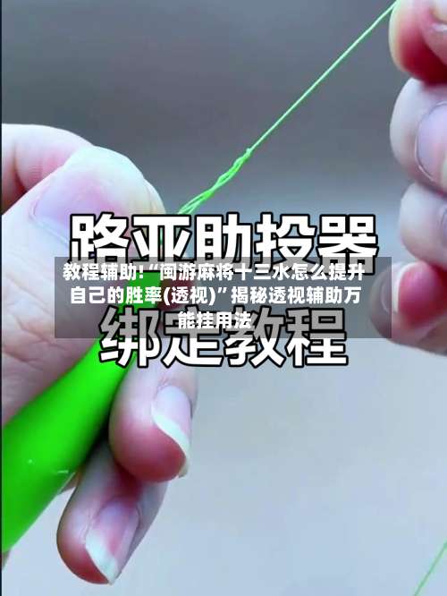教程辅助!“闽游麻将十三水怎么提升自己的胜率(透视)	”揭秘透视辅助万能挂用法-第1张图片