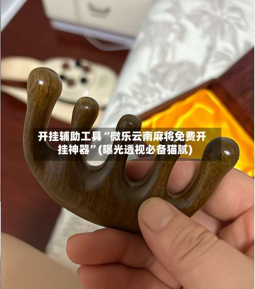 开挂辅助工具“微乐云南麻将免费开挂神器”(曝光透视必备猫腻)-第2张图片