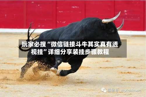 玩家必搜“微信链接斗牛其实真有透视挂	”详细分享装挂步骤教程-第2张图片