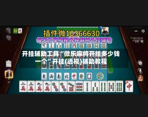 开挂辅助工具“微乐麻将开挂多少钱一个”开挂(透视)辅助教程-第3张图片