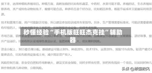 秒懂经验“手机版旺旺杰克挂	”辅助器-第1张图片