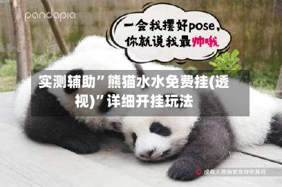 实测辅助”熊猫水水免费挂(透视)”详细开挂玩法-第1张图片