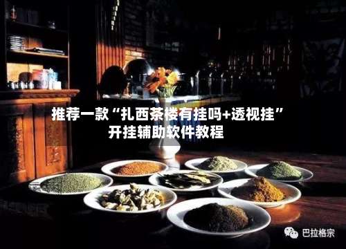 推荐一款“扎西茶楼有挂吗+透视挂”开挂辅助软件教程-第1张图片