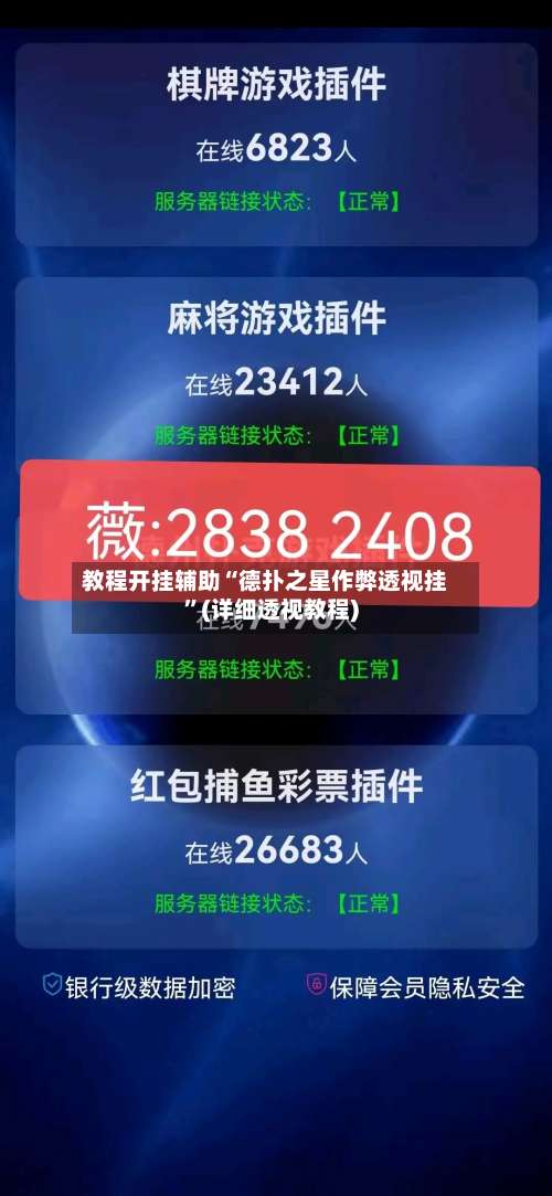 教程开挂辅助“德扑之星作弊透视挂”(详细透视教程)-第2张图片