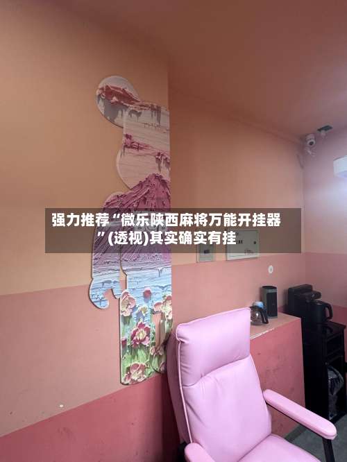 强力推荐“微乐陕西麻将万能开挂器”(透视)其实确实有挂-第2张图片