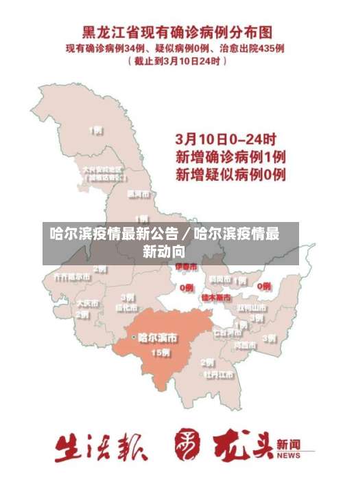 哈尔滨疫情最新公告／哈尔滨疫情最新动向-第1张图片