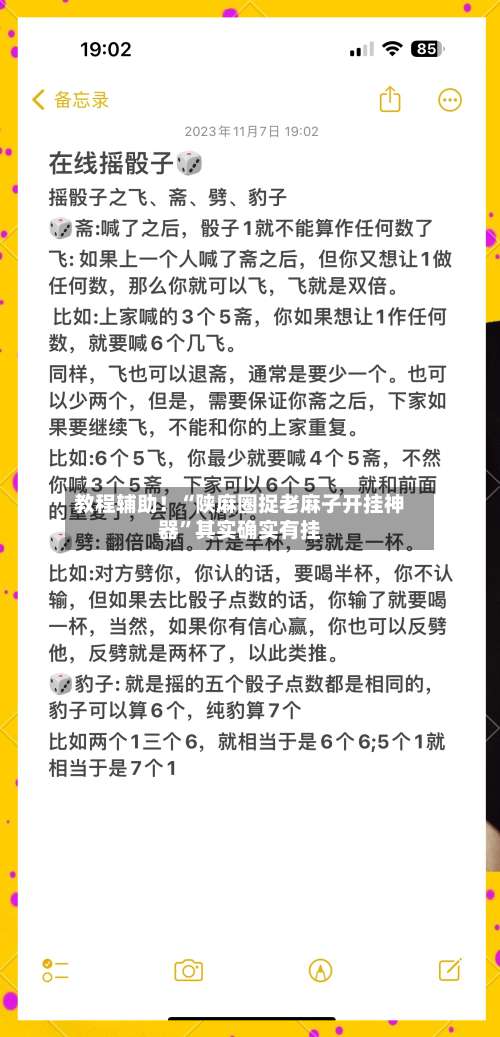 教程辅助！“陕麻圈捉老麻子开挂神器”其实确实有挂-第1张图片