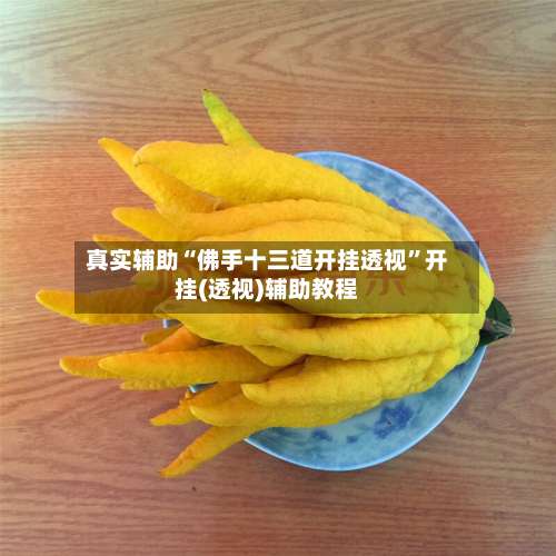 真实辅助“佛手十三道开挂透视	”开挂(透视)辅助教程-第2张图片