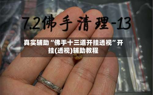 真实辅助“佛手十三道开挂透视”开挂(透视)辅助教程-第3张图片