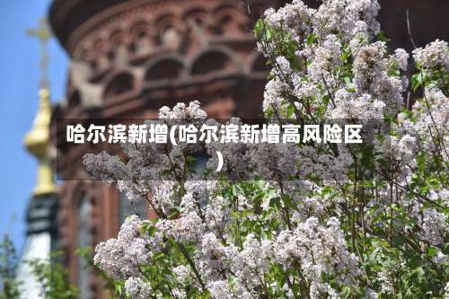 哈尔滨新增(哈尔滨新增高风险区)-第2张图片