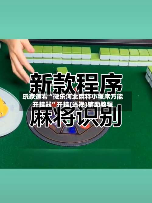 玩家速看“微乐河北麻将小程序万能开挂器”开挂(透视)辅助教程-第2张图片