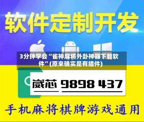 3分钟学会“雀神麻将外卦神器下载软件”(原来确实是有插件)-第2张图片