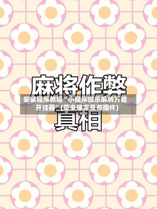 安装程序教程“小程序微乐麻将万能开挂器”(原来确实是有插件)-第3张图片