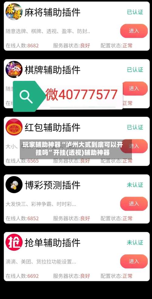 玩家辅助神器“泸州大贰到底可以开挂吗	”开挂(透视)辅助神器-第1张图片