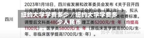 纽约大学学费多少／纽约大学学费多少人民币-第3张图片