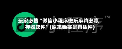 玩家必搜“微信小程序微乐麻将必赢神器软件”(原来确实是有插件)-第1张图片