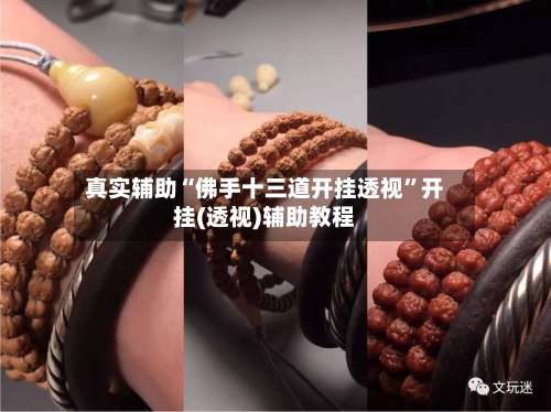 真实辅助“佛手十三道开挂透视”开挂(透视)辅助教程-第1张图片