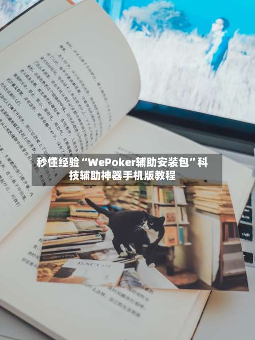 秒懂经验“WePoker辅助安装包”科技辅助神器手机版教程-第3张图片