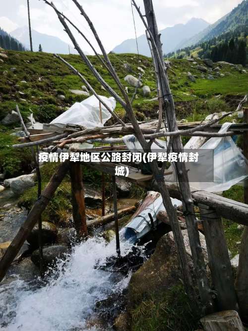 疫情伊犁地区公路封闭(伊犁疫情封城)-第2张图片