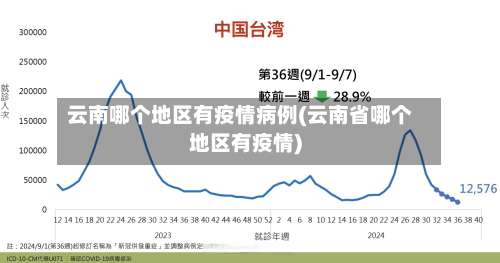 云南哪个地区有疫情病例(云南省哪个地区有疫情)-第2张图片