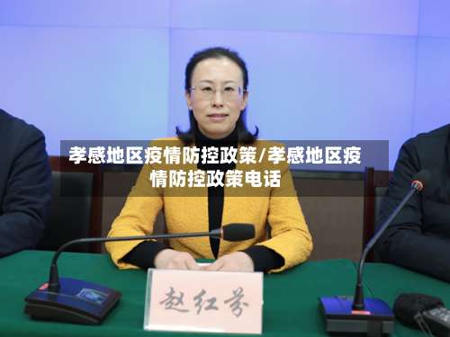 孝感地区疫情防控政策/孝感地区疫情防控政策电话-第2张图片