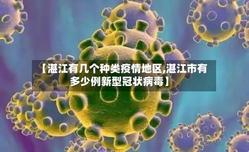 【湛江有几个种类疫情地区,湛江市有多少例新型冠状病毒】-第2张图片