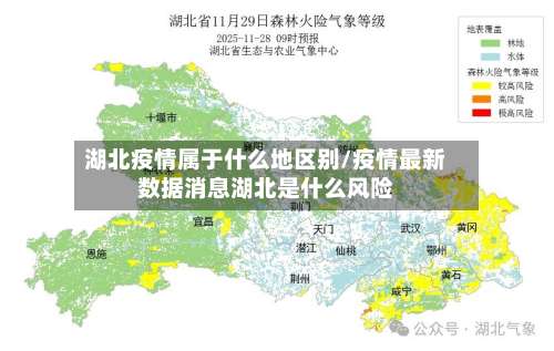 湖北疫情属于什么地区别/疫情最新数据消息湖北是什么风险-第1张图片