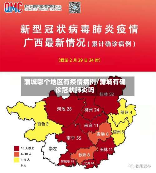 蒲城哪个地区有疫情病例/蒲城有确诊冠状肺炎吗-第1张图片