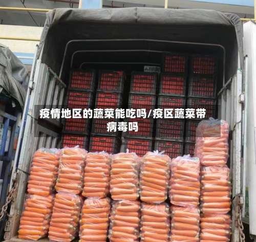 疫情地区的蔬菜能吃吗/疫区蔬菜带病毒吗-第2张图片