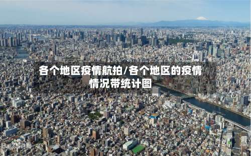 各个地区疫情航拍/各个地区的疫情情况带统计图-第1张图片