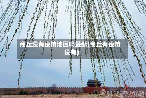 商丘没有疫情地区吗最新(商丘有疫情没有)-第1张图片