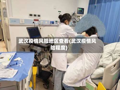 武汉疫情风险地区查看(武汉疫情风险程度)-第3张图片