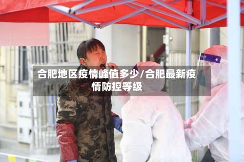 合肥地区疫情峰值多少/合肥最新疫情防控等级-第2张图片