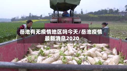 岳池有无疫情地区吗今天/岳池疫情最新消息2020-第2张图片